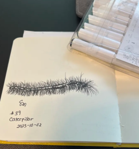 39.100
